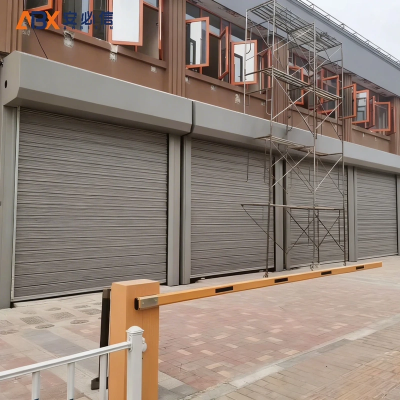 安庆市金属快速门